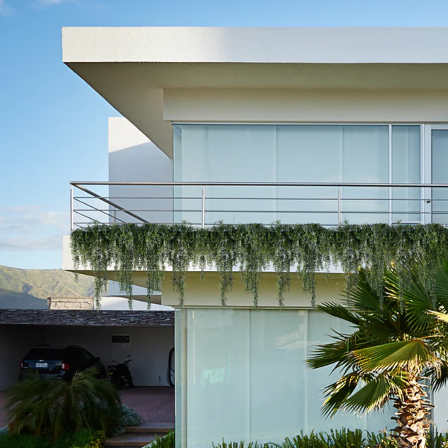 Artificial Balcony Trail - The Plants Project