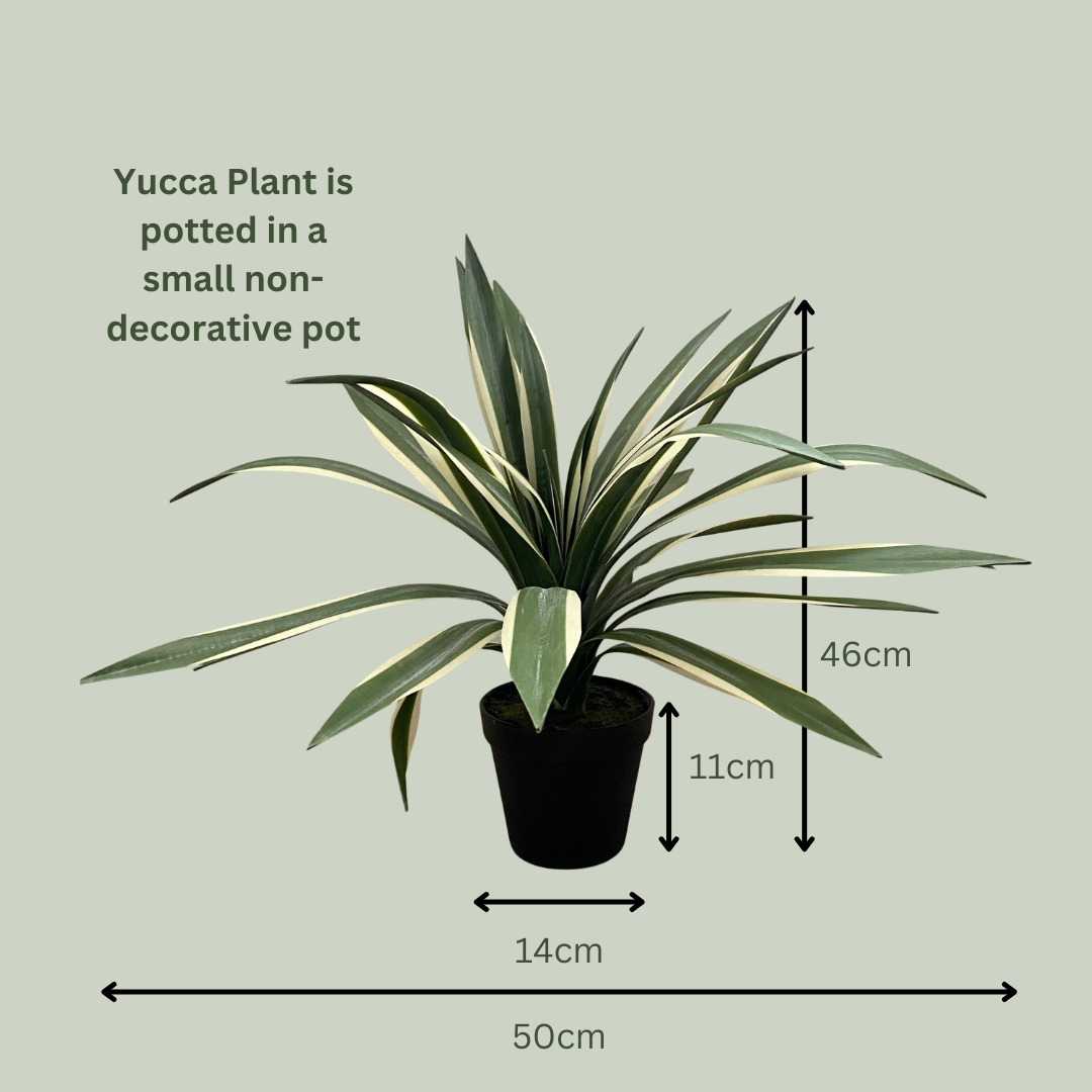 Artificial Variegated Yucca Plant | 46cm