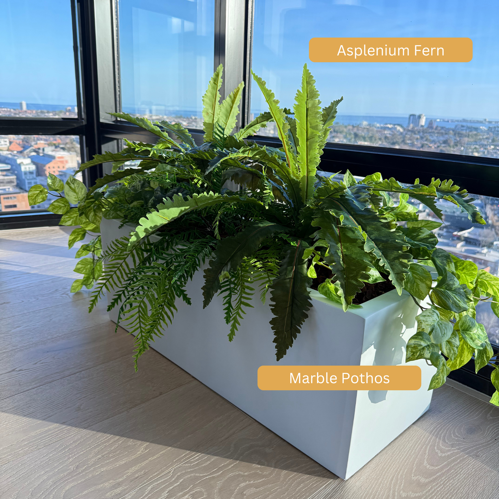 fake marble pothos Artificial Marble Pothos