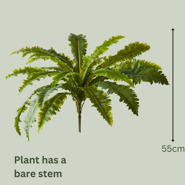 Artificial Asplenium Fern