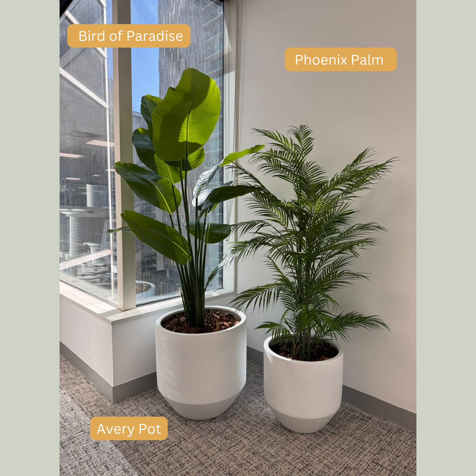 Artificial Bird of Paradise Plant