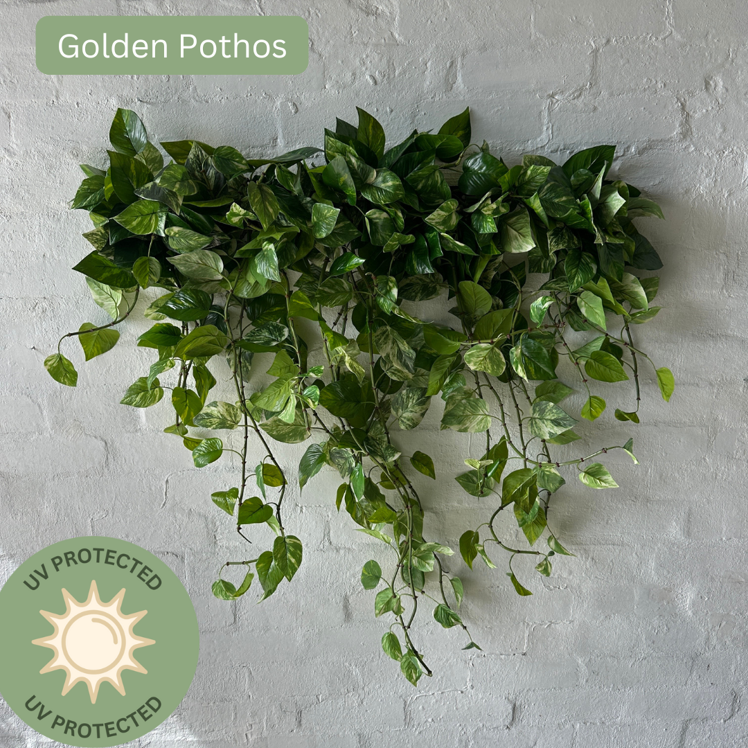 Artificial Balcony Trail