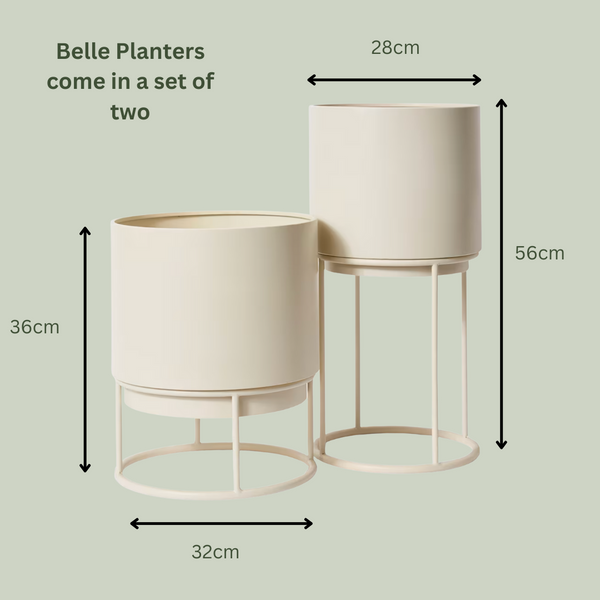 Belle Planter with Stand