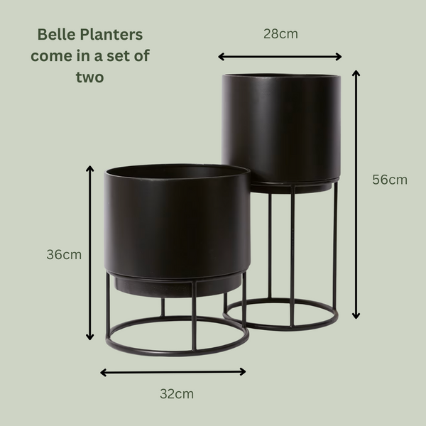 Belle Planter with Stand