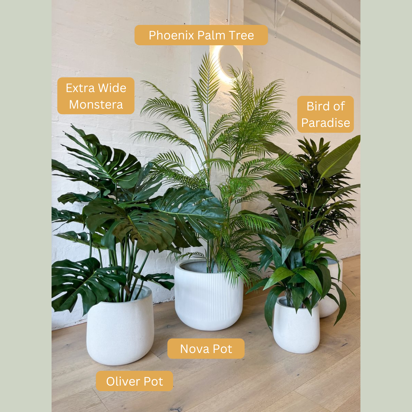 Extra Wide Artificial Monstera Plant