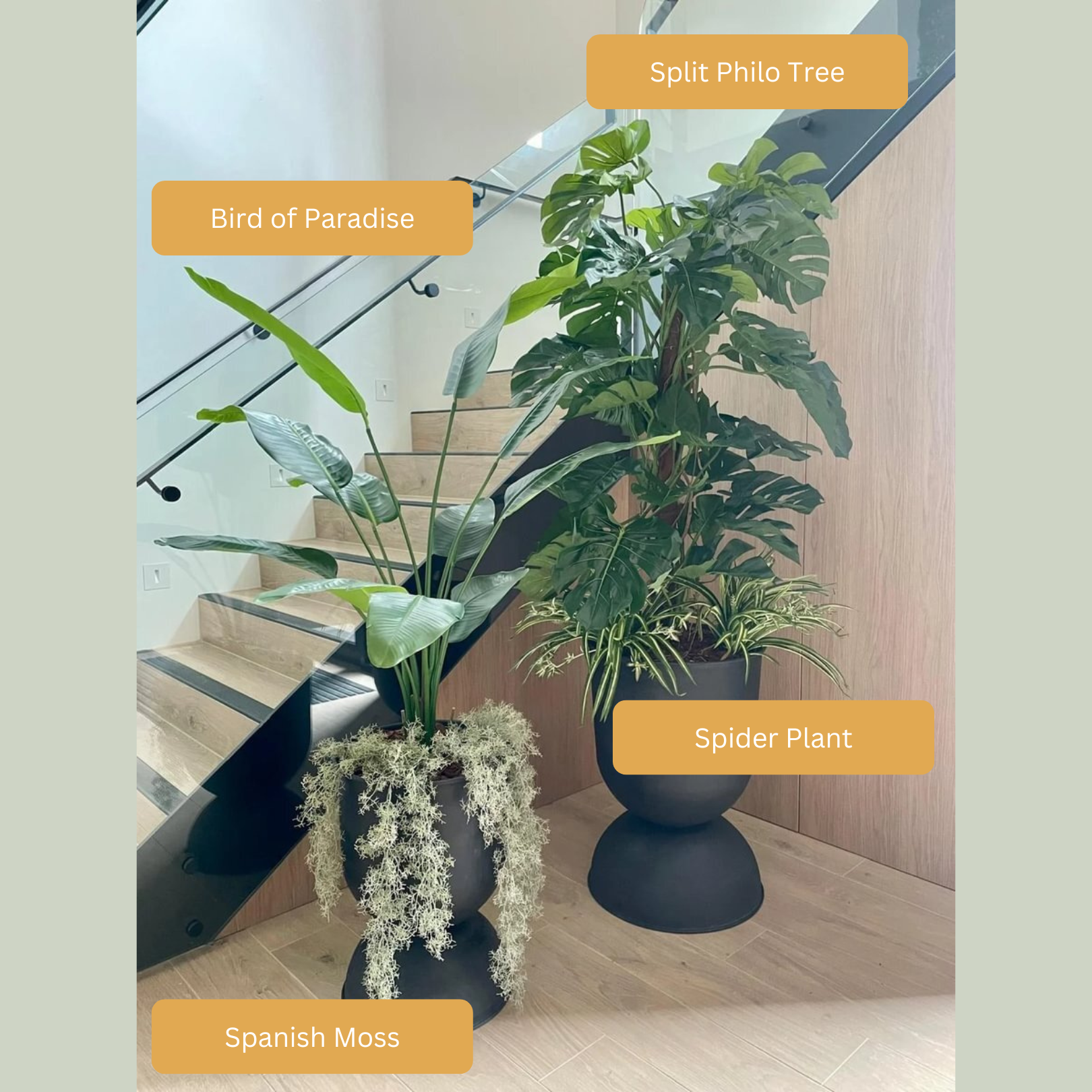 Artificial Bird of Paradise Plant