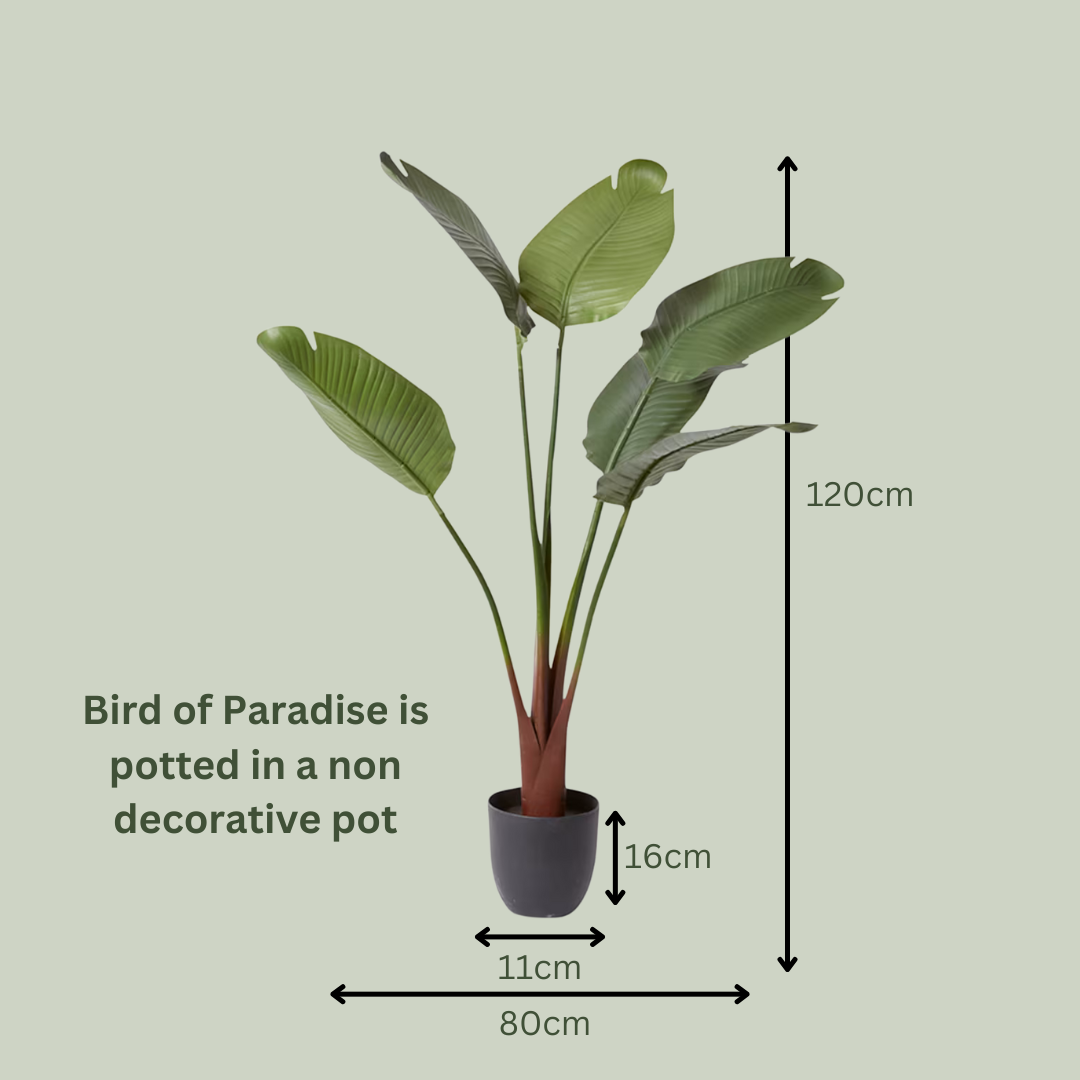 Artificial Bird of Paradise | Outdoor Plant