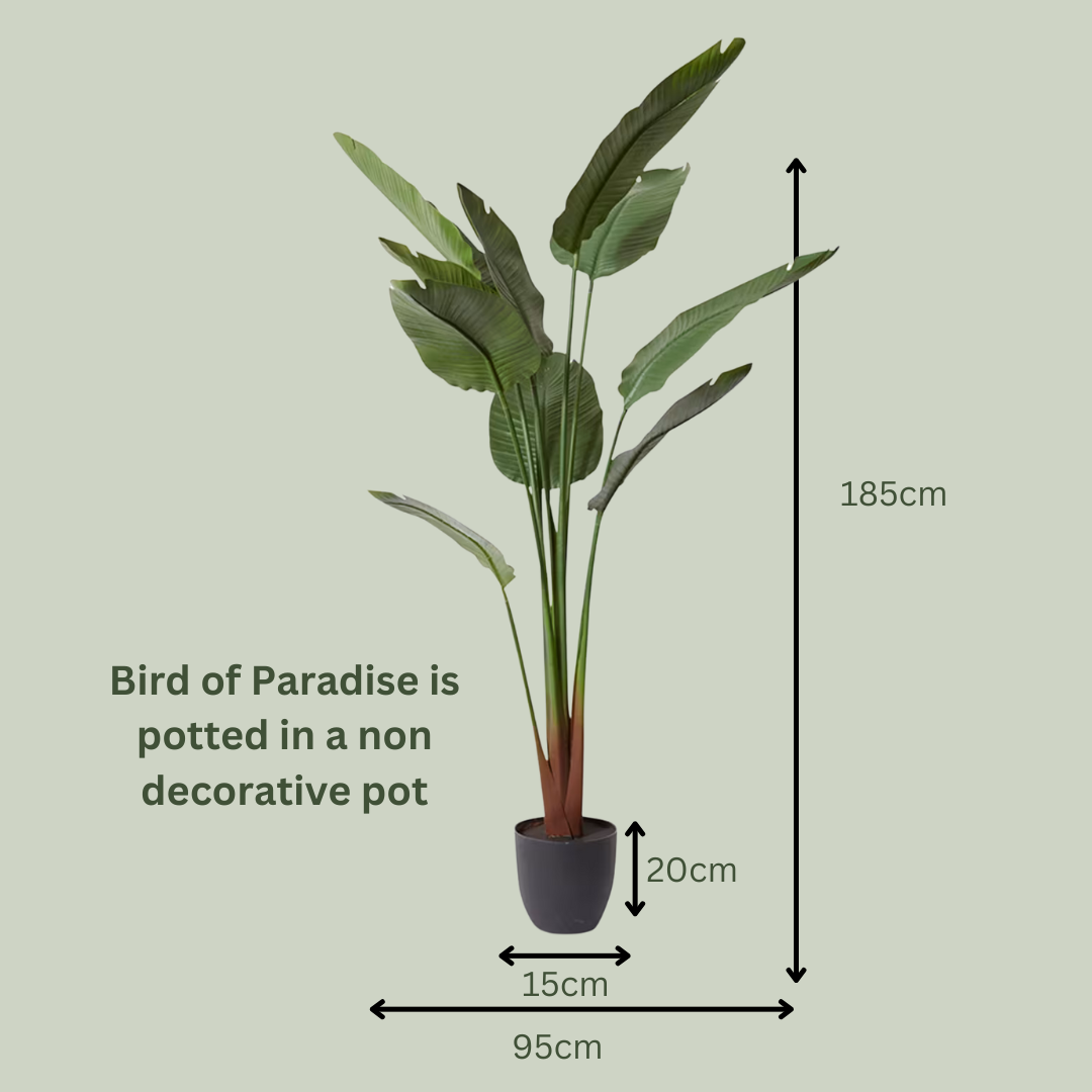 Artificial Bird of Paradise | Outdoor Plant