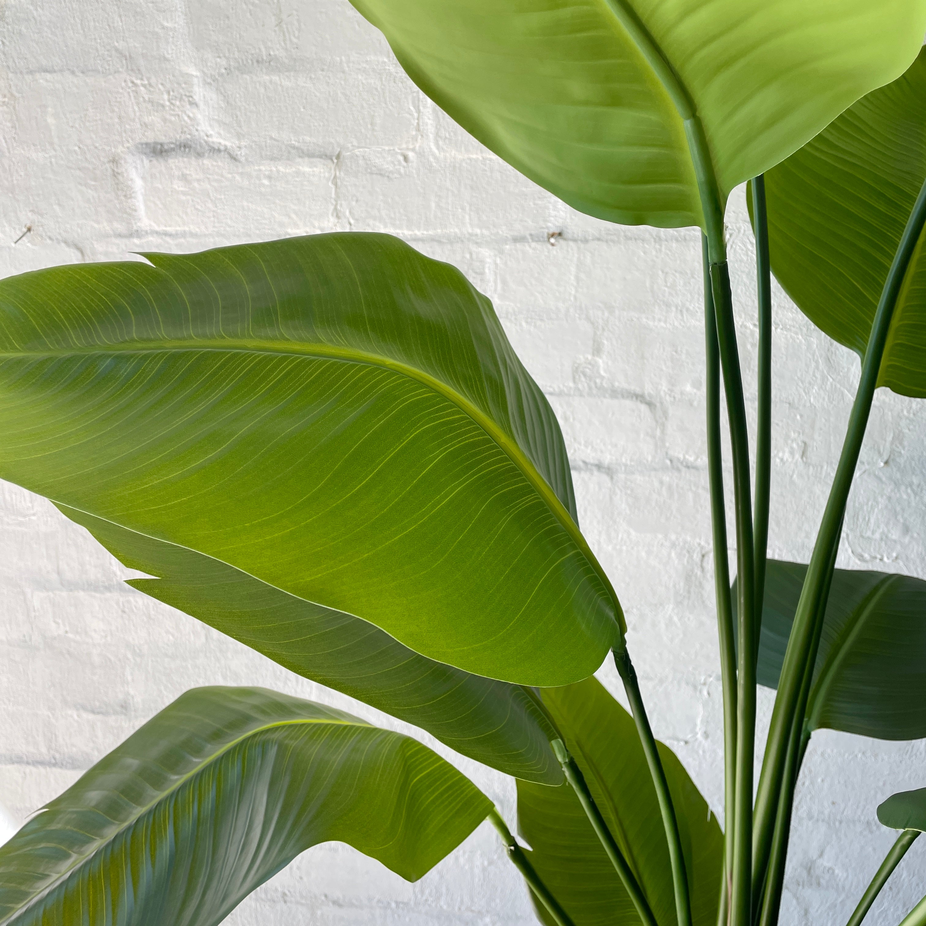 Artificial Bird of Paradise Plant