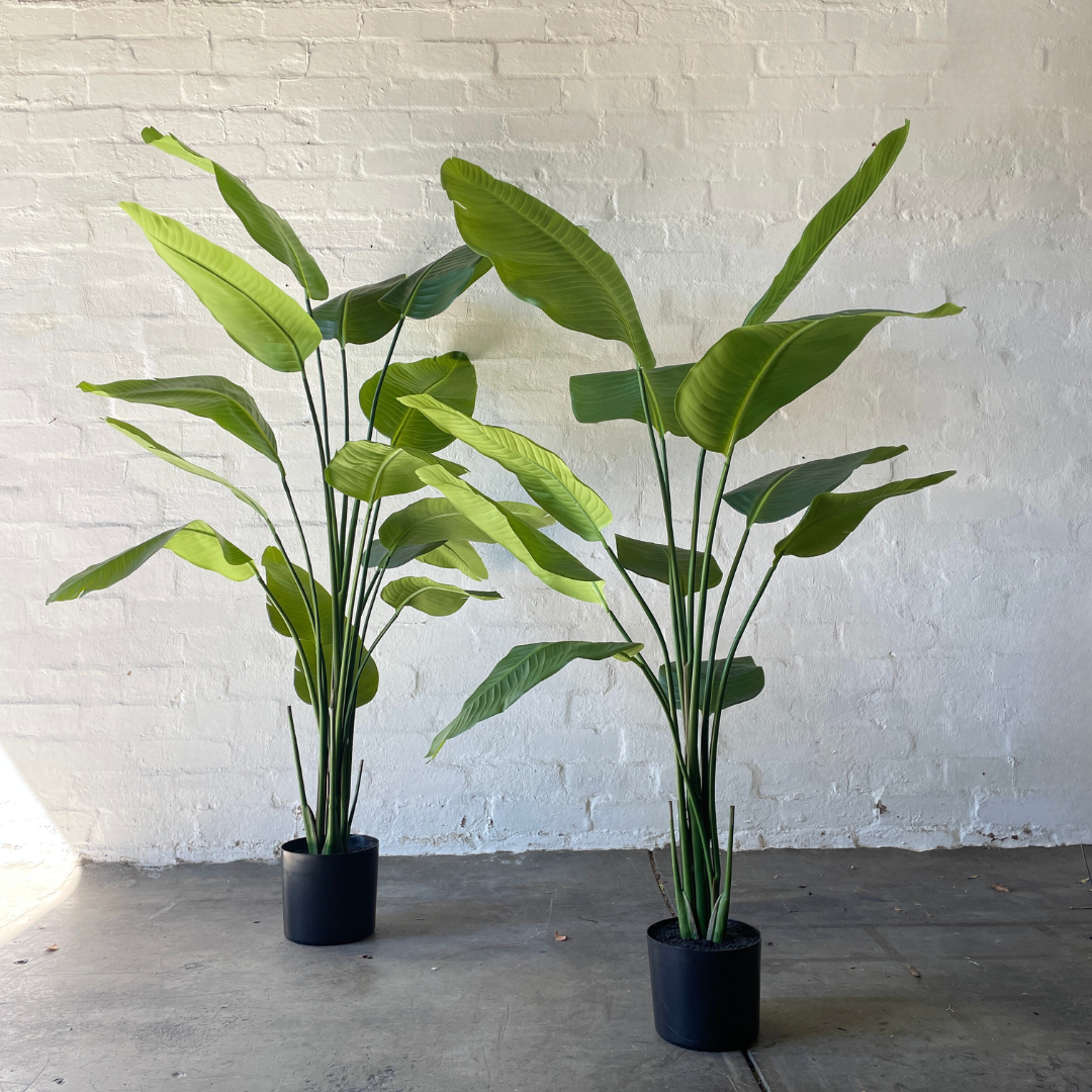 Artificial Bird of Paradise Plant