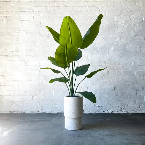 Artificial Bird of Paradise Plant