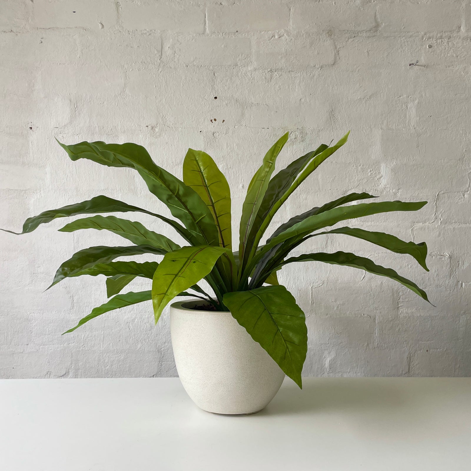 Artificial Bird's Nest Plant