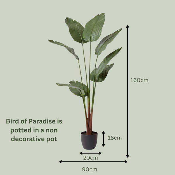 Artificial Bird of Paradise | Outdoor Plant