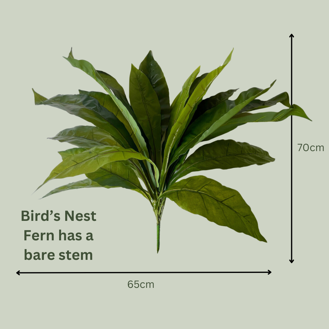 Artificial Bird's Nest Plant