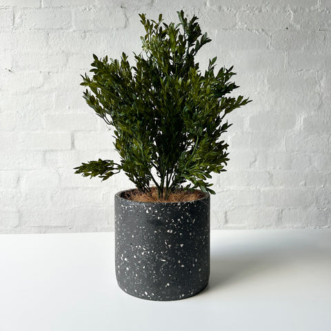 Artificial Buxus Plant | Outdoor Plant