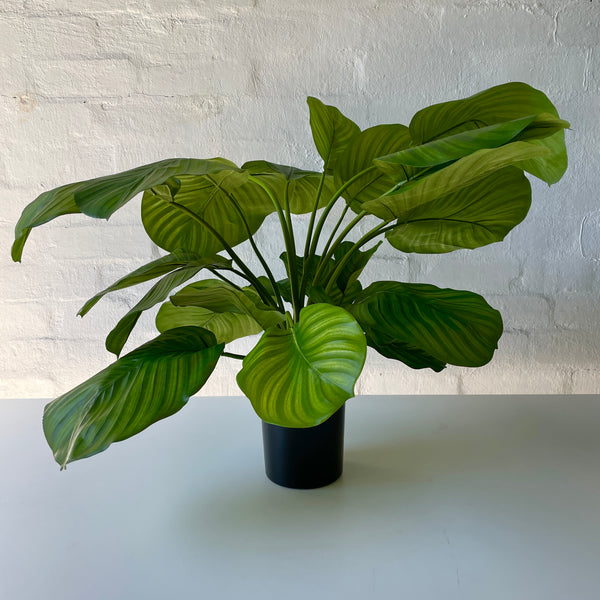 Artificial Calathea | Green