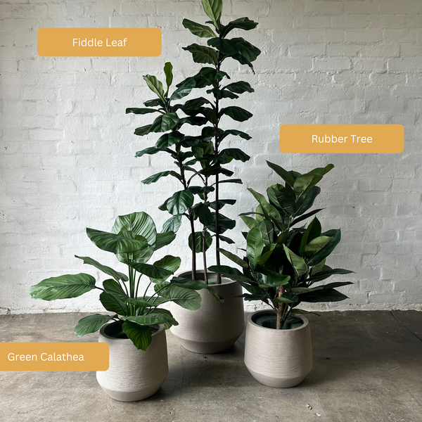 Artificial Rubber Tree | Short