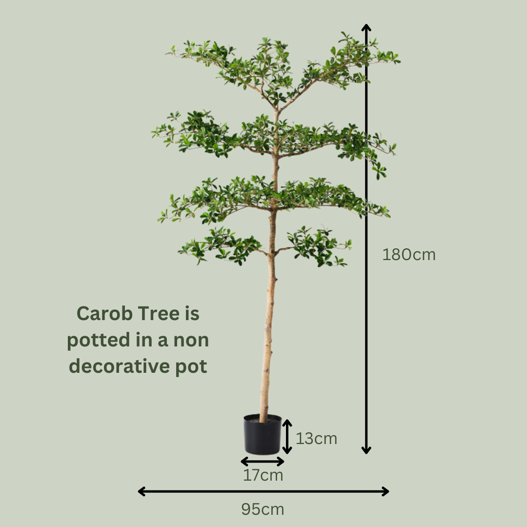 Artificial Carob Tree