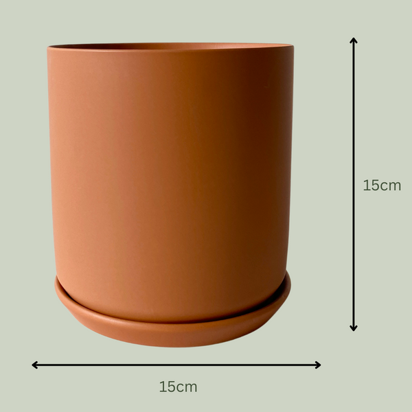 Ceramic Pot | Burnt Orange | 15cm