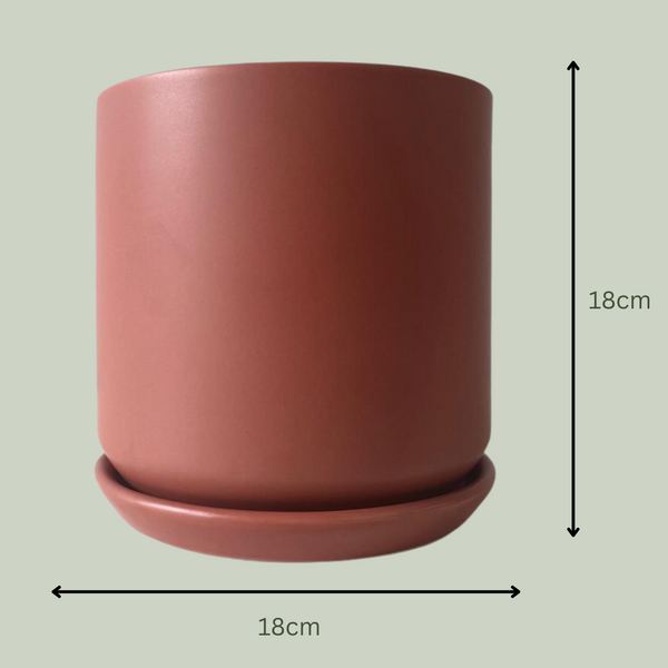 Ceramic Pot | Desert Red | 18cm - The Plants Project