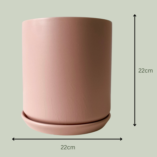 Ceramic Pot | Dusty Pink | 22cm - The Plants Project