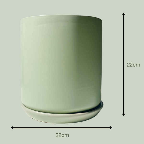 Ceramic Pot | Sage Green | 22cm