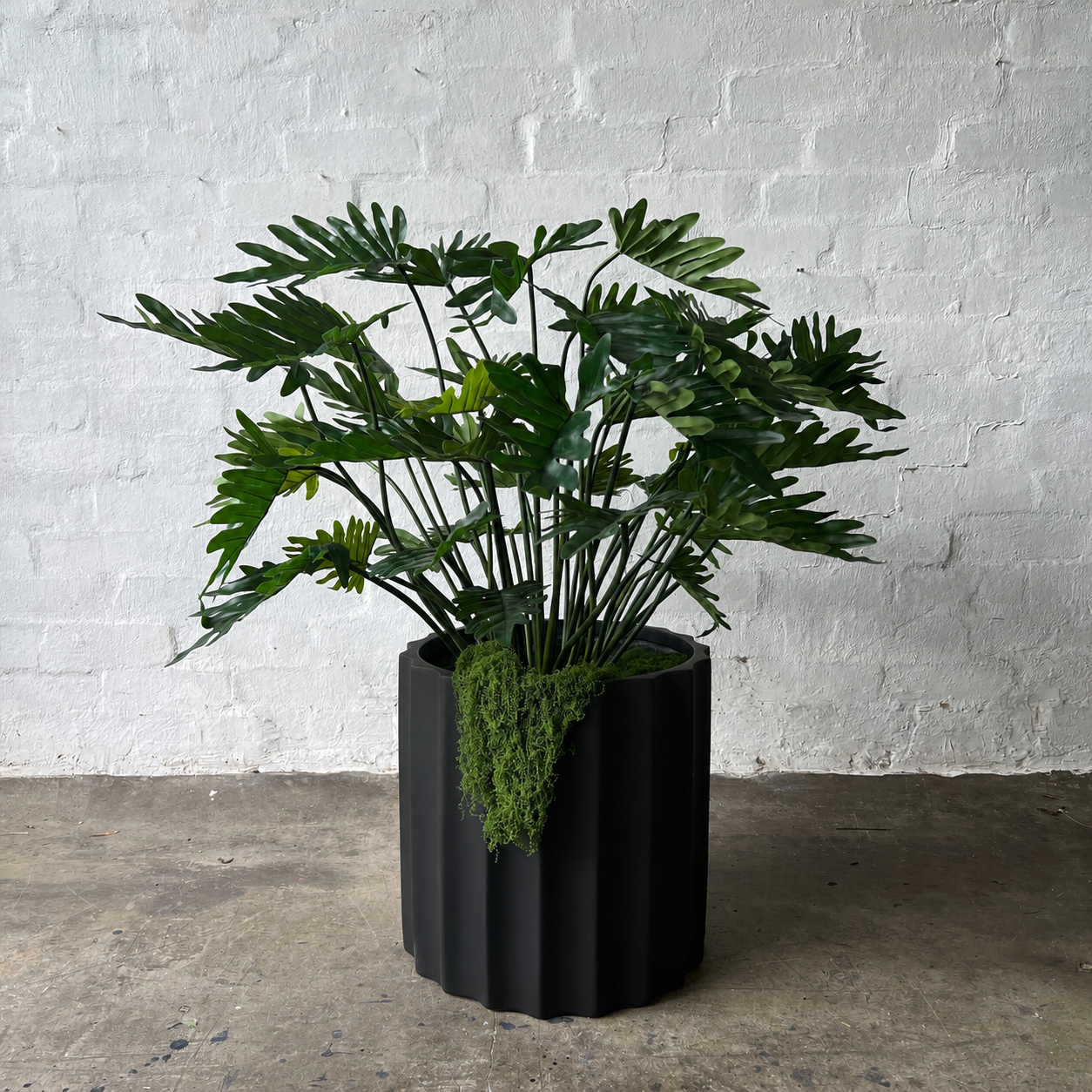 Artificial Xanadu Plant
