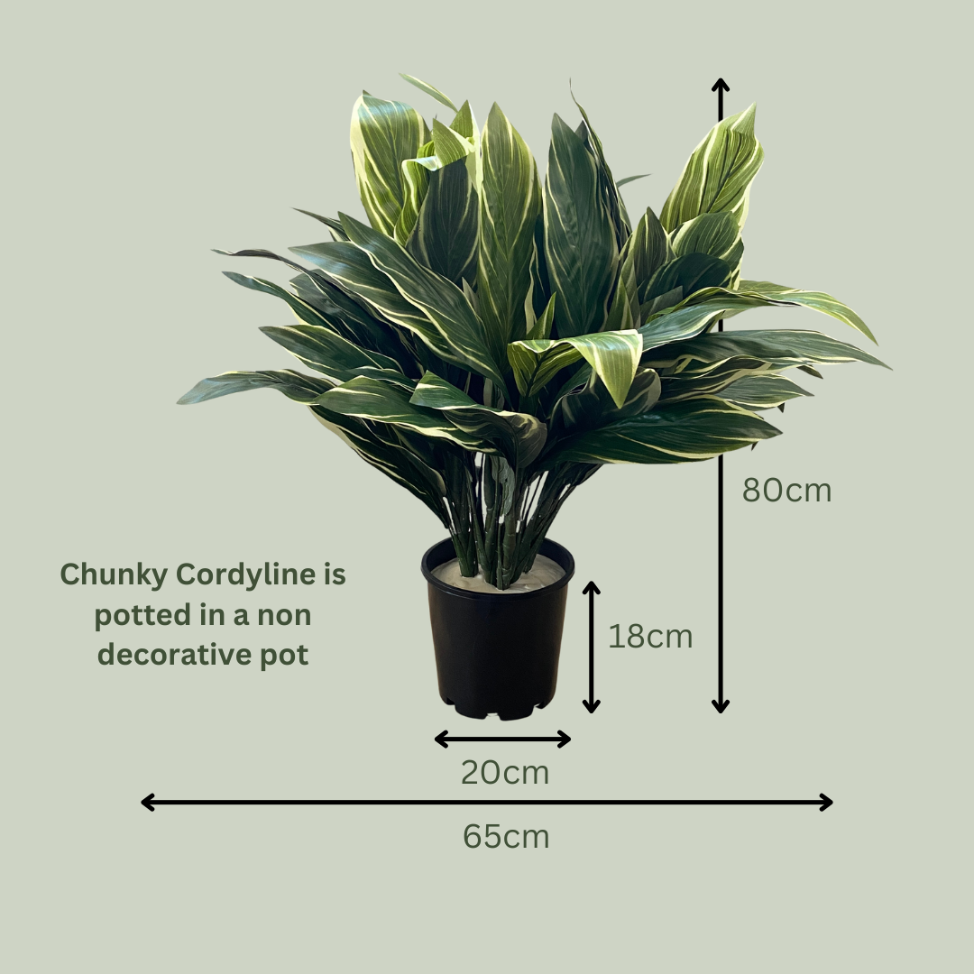 Artificial Chunky Cordyline Plant
