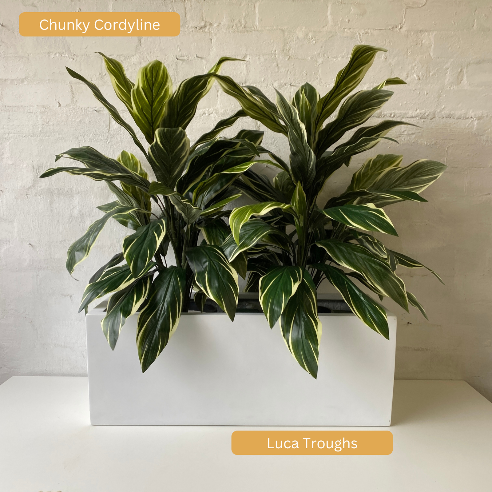 Artificial Chunky Cordyline Plant