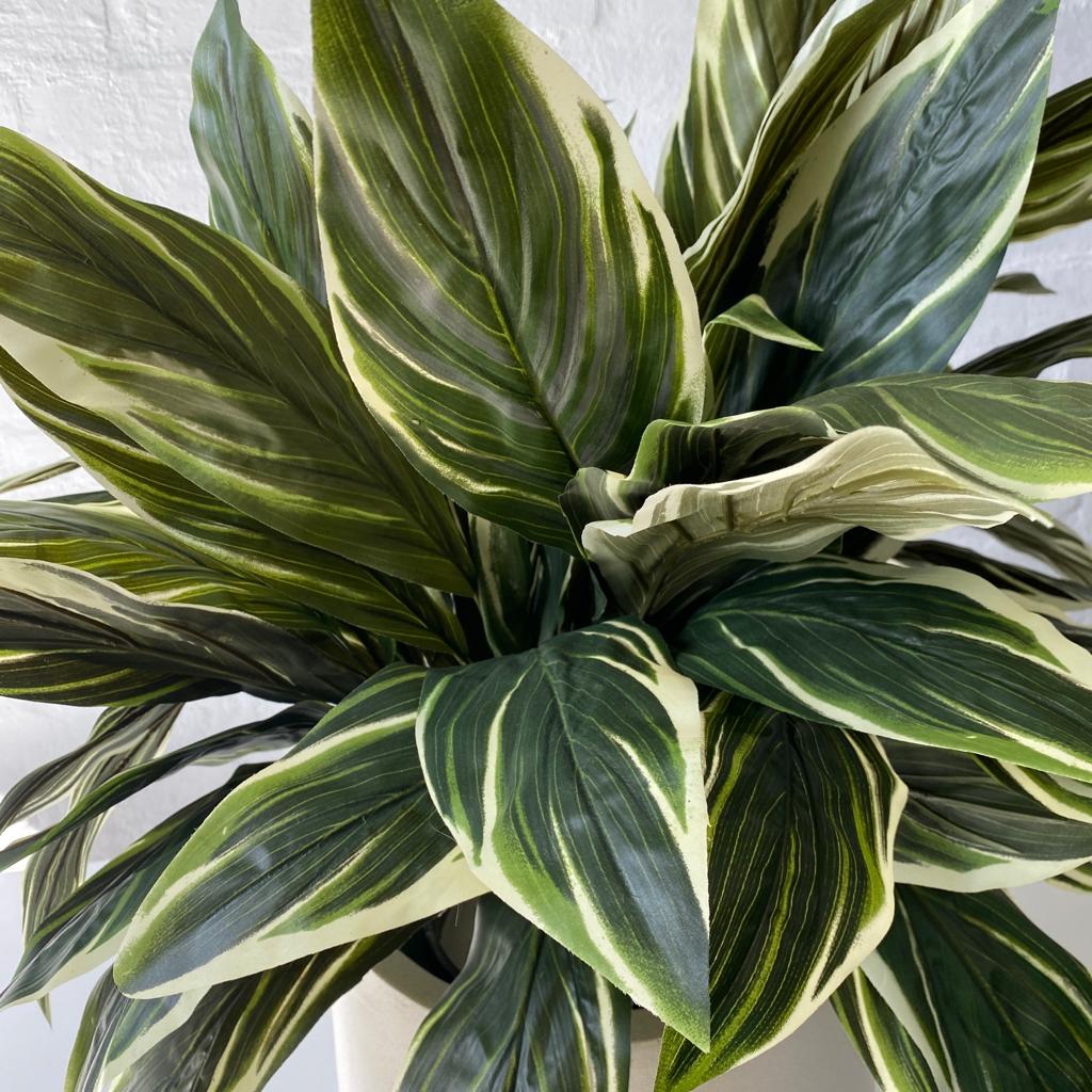Artificial Trough Plants  | Cordylines