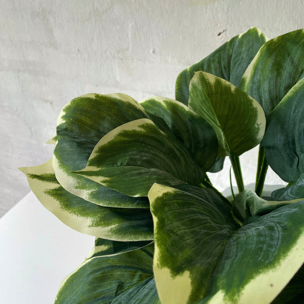 Artificial Chunky Hosta Frosted