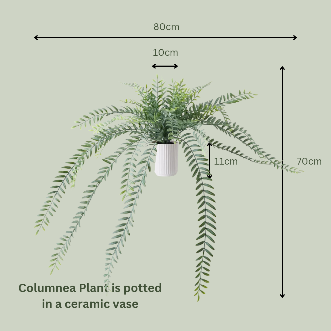 Artificial Columnea Plant