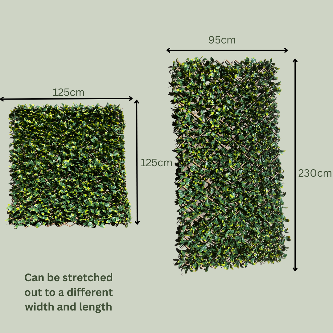 Artificial Laurel Trellis | Outdoor Plant