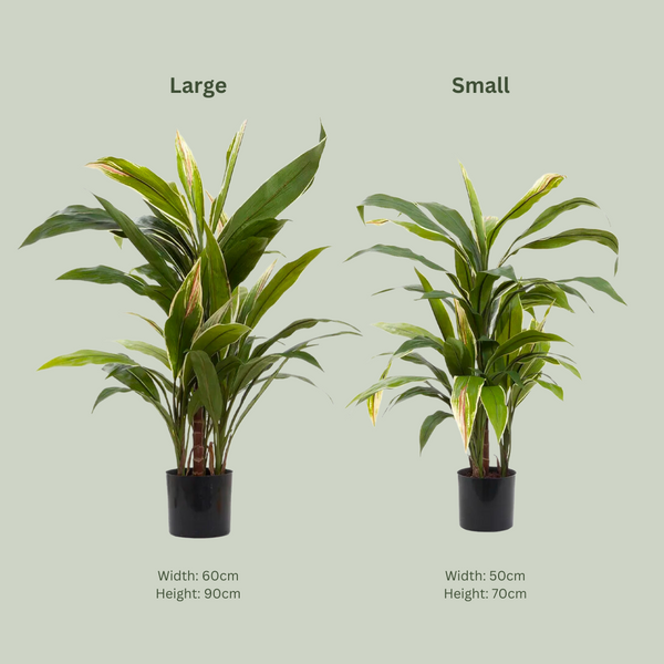 Artificial Cordyline Plant | Dark Green