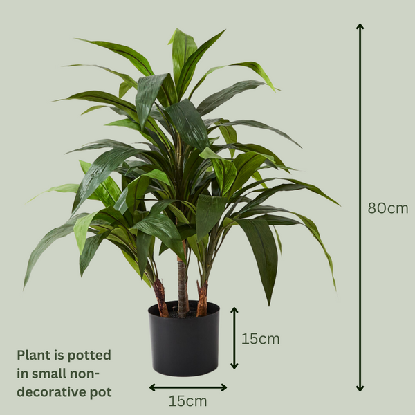 Artificial Cordyline Plant | Deep Green