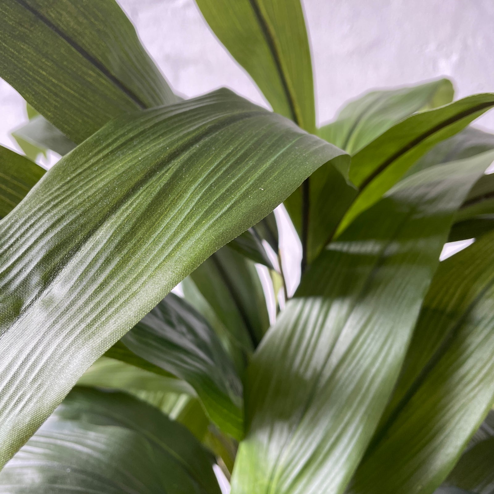 Artificial Cordyline Plant | Deep Green