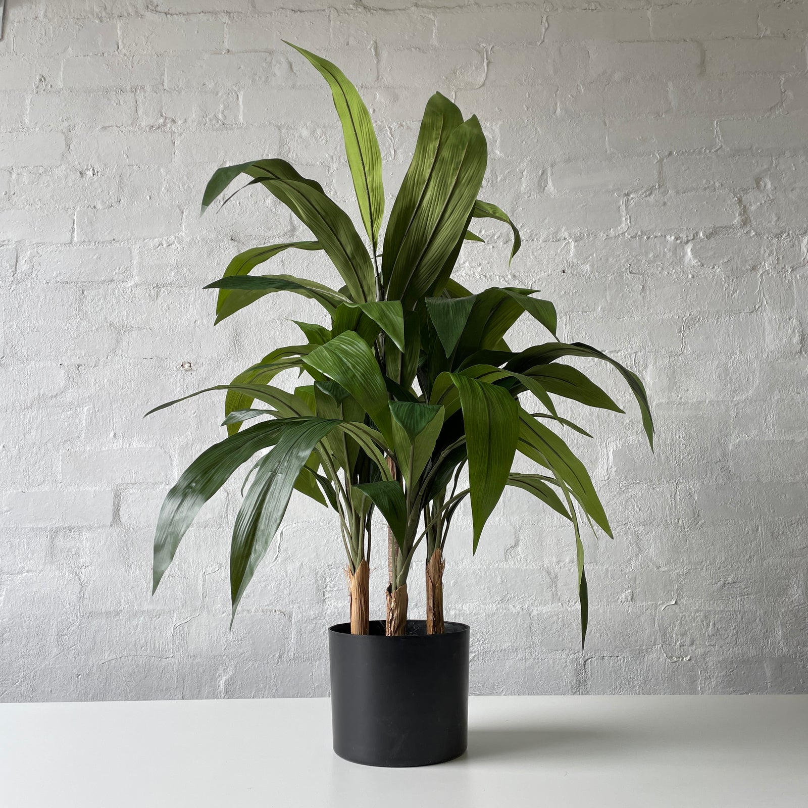 Artificial Cordyline Plant | Deep Green