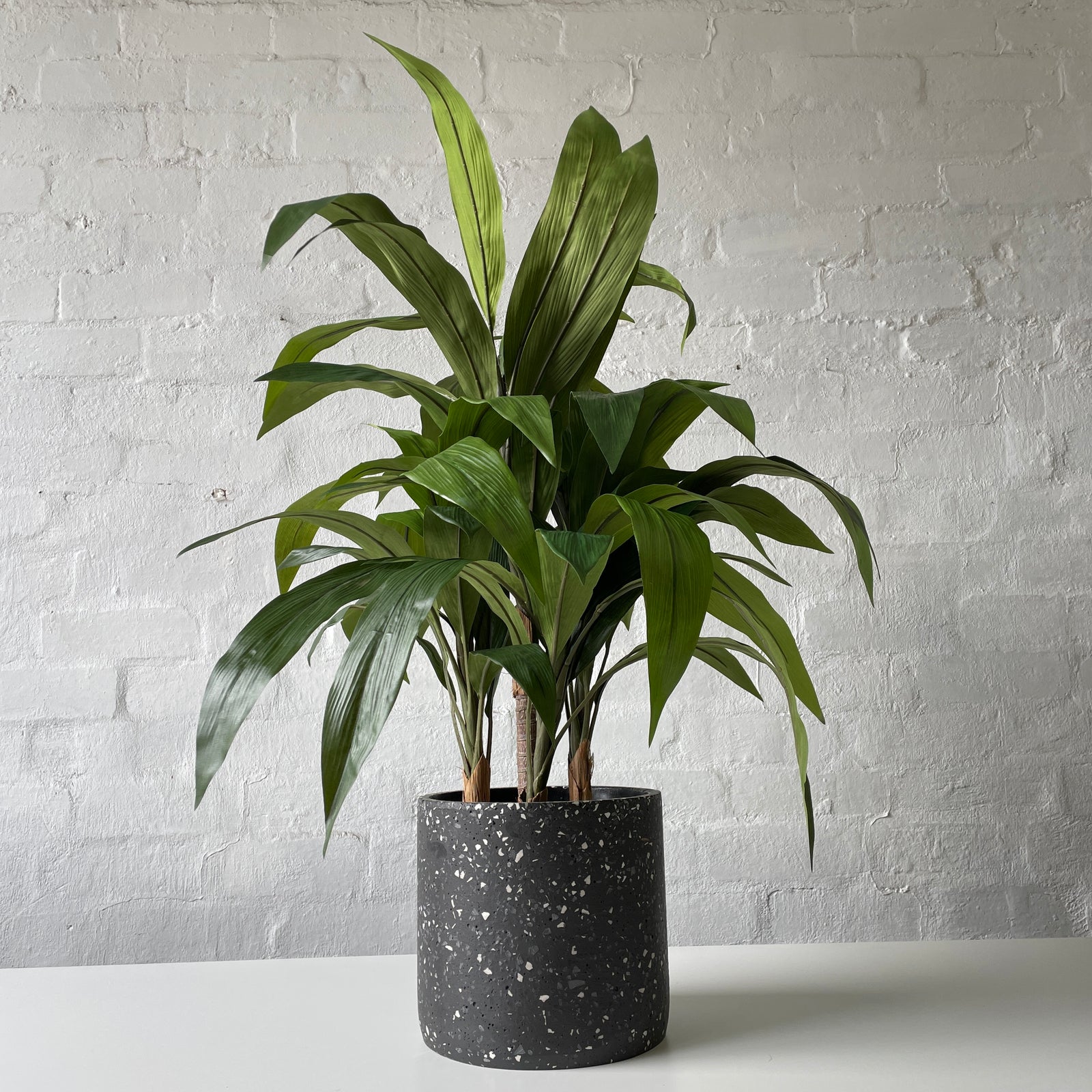Artificial Cordyline Plant | Deep Green