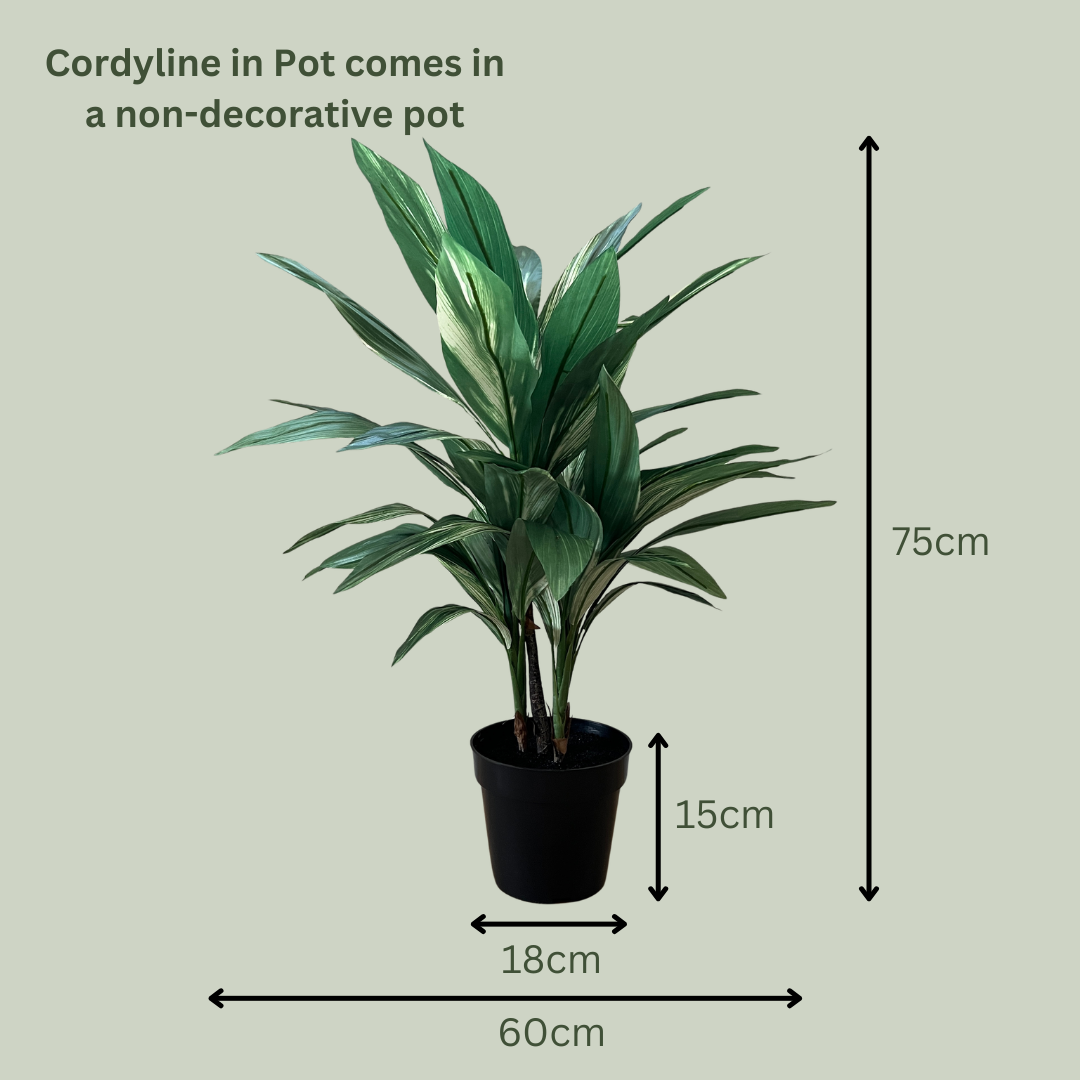 Artificial Cordyline in Pot