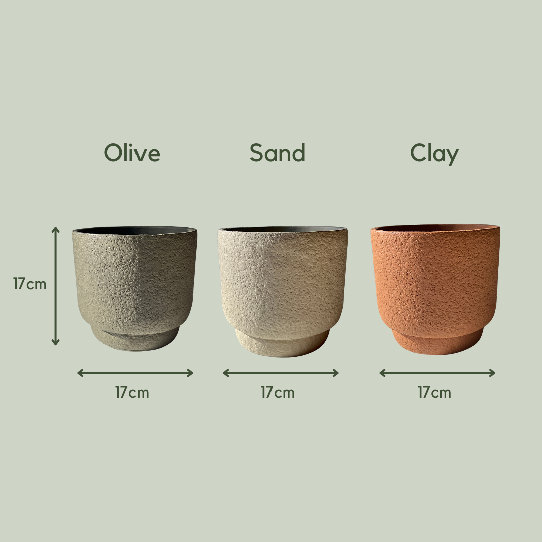 Dolly Pot | Ceramic