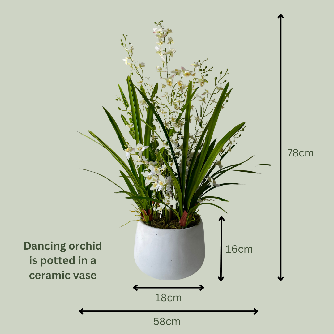 Artificial Dancing Orchid | White