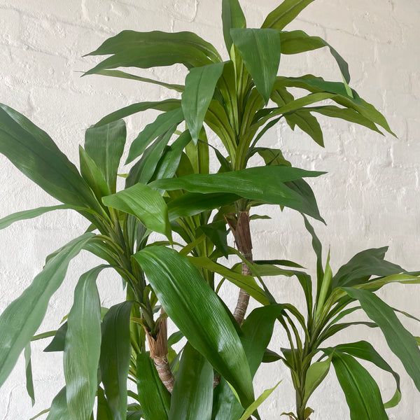 Artificial Dracaena Tree