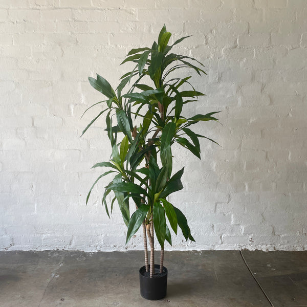 Artificial Dracaena Tree