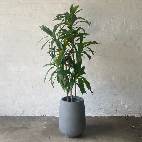 Artificial Dracaena Tree