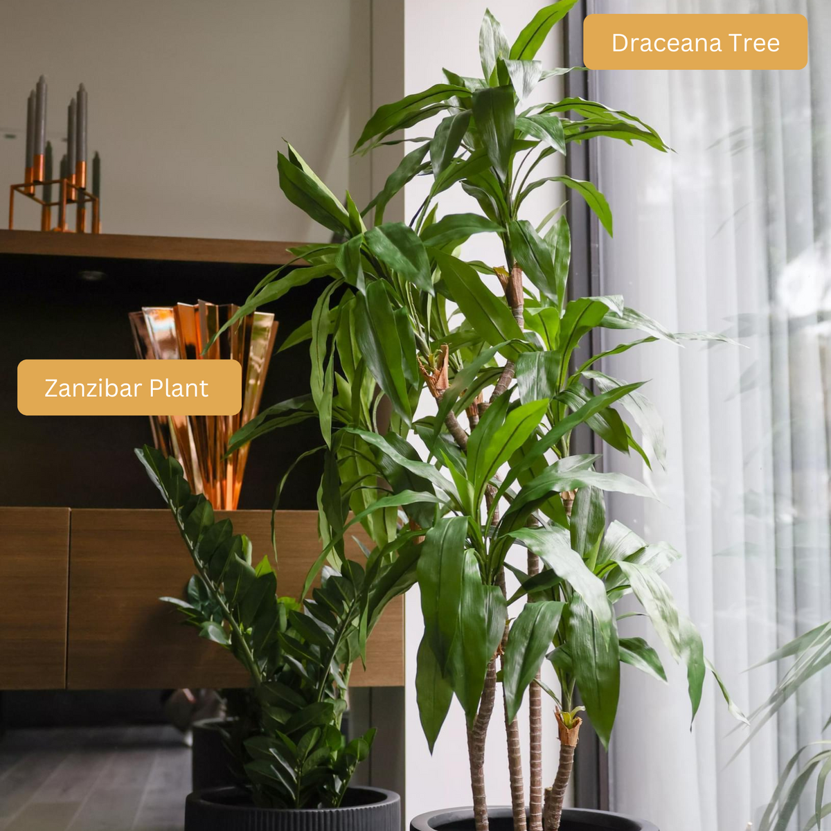 Potted Artificial Zanzibar Plant