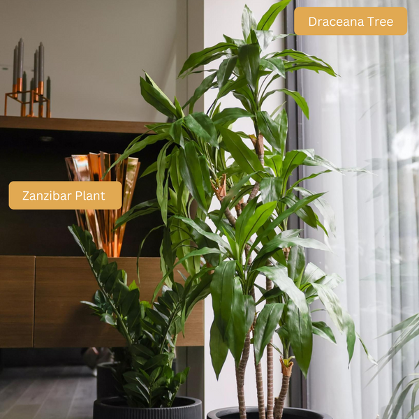 Artificial Dracaena Tree