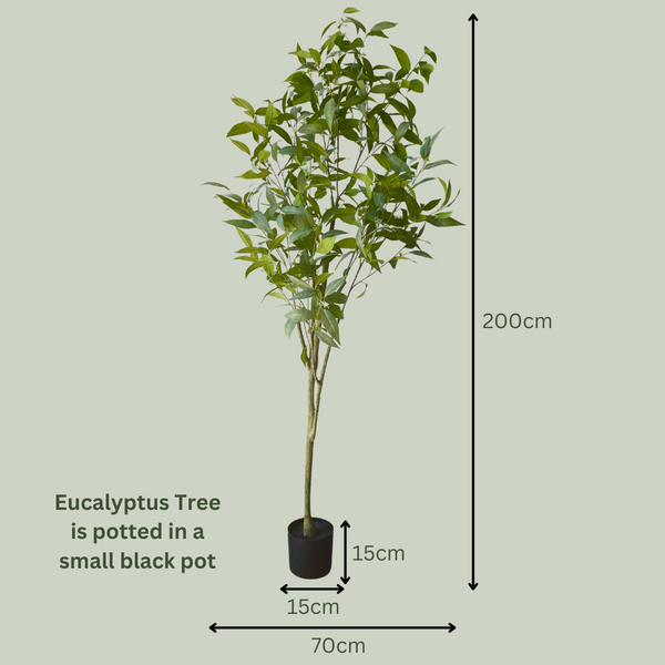 Artificial Eucalyptus Tree - The Plants Project