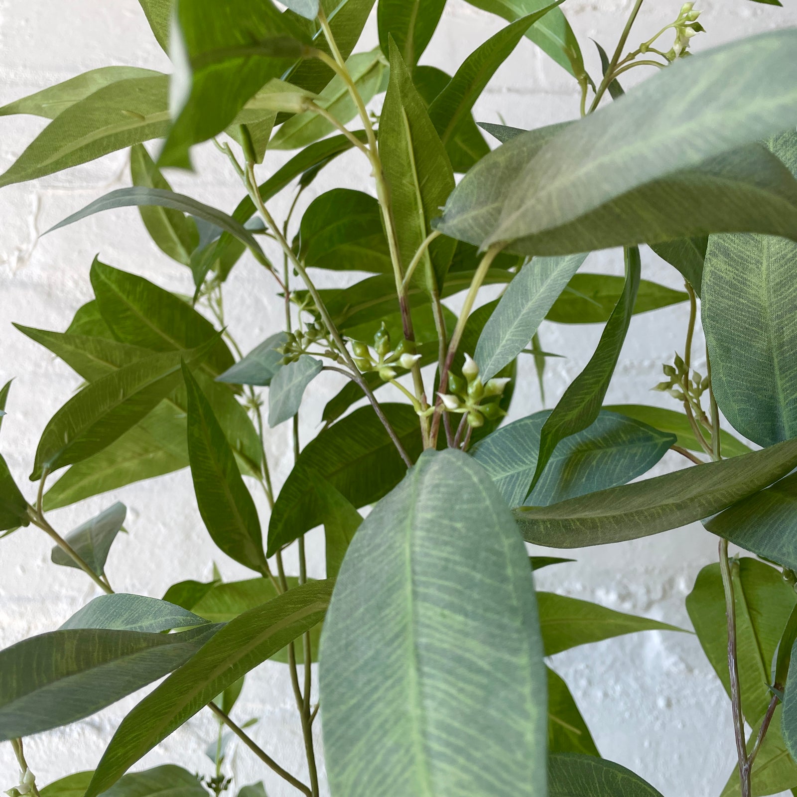 Artificial Eucalyptus Tree