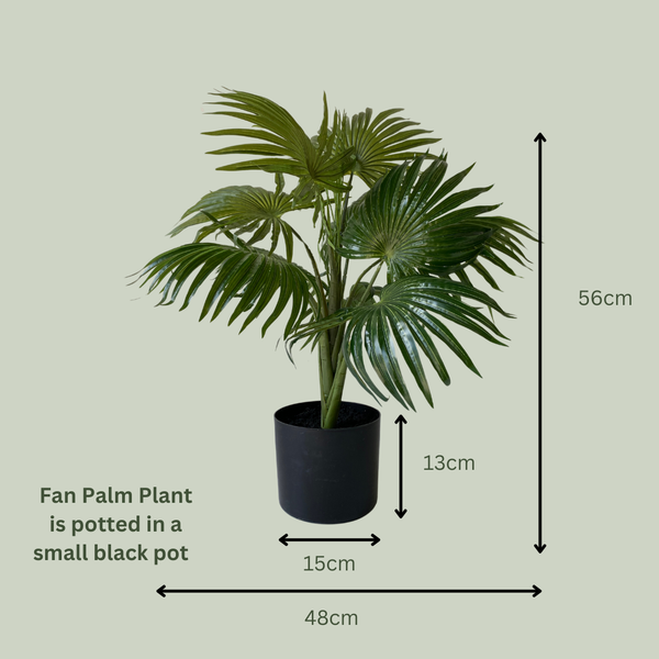 Artificial Fan Palm Plant