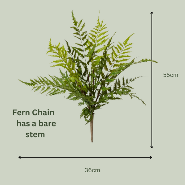 Artificial Fern Chain